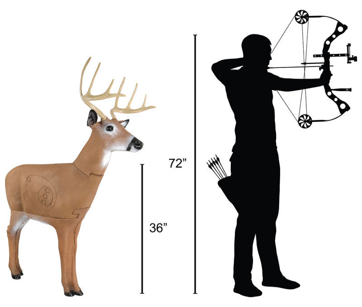 Hoosier Daddy ™ Buck Archery Target