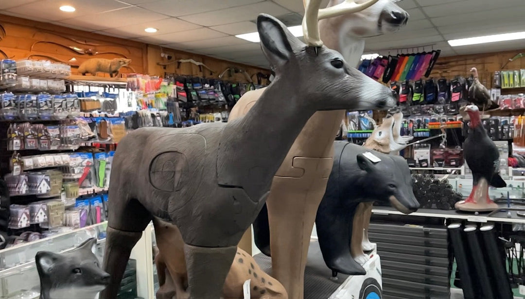 Essential Equipment for Beginners in Archery