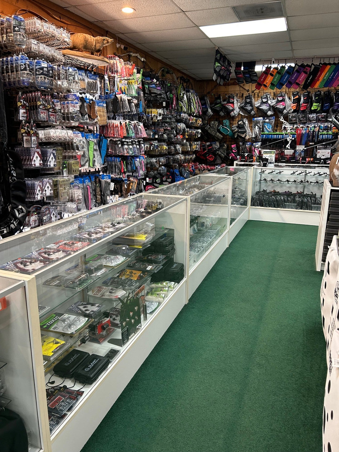 Choose the Right Bow for Your Archery Skills