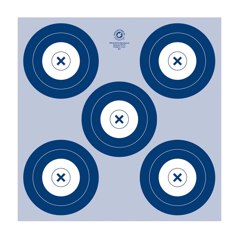 5 Spot Blue/Gray Paper Target