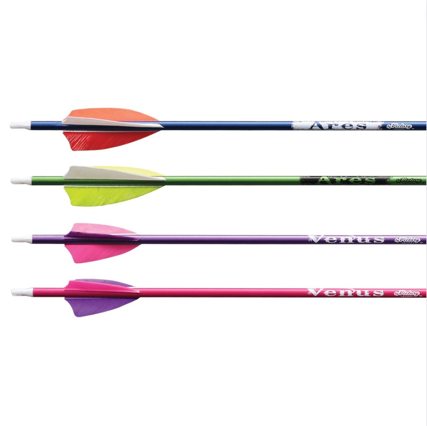 Victory Ares / Venus Youth Fletched Arrow (3 Arrows)