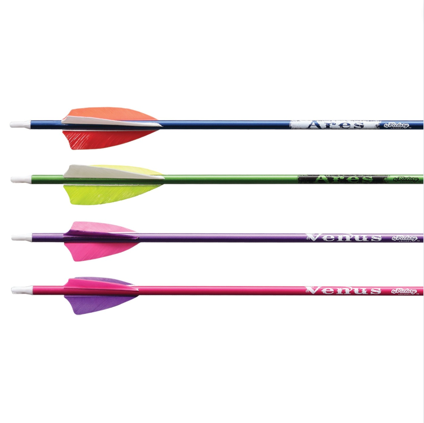 Victory Ares / Venus Youth Fletched Arrow (1 Arrow)