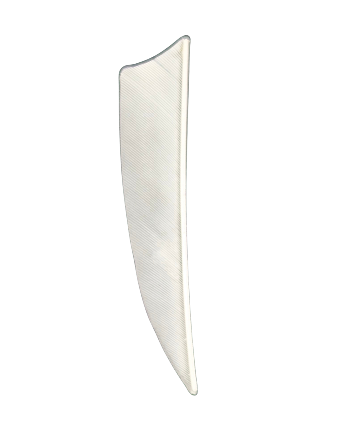 3" Shield cut Feathers