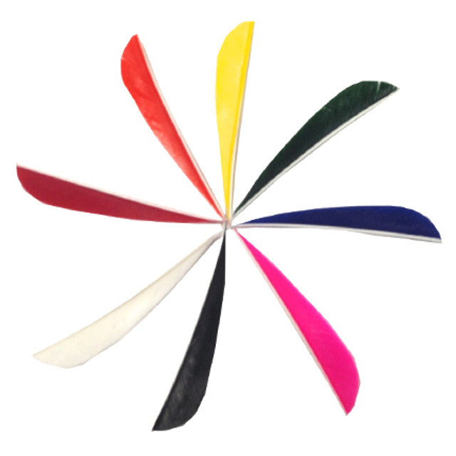 Parabolic Feathers (36 Pack)
