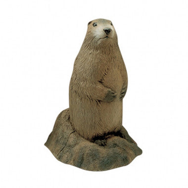 Delta Mckenzie Woodchuck 3D Target
